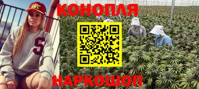 шишки Будённовск