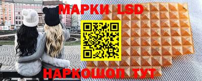 шишки Будённовск