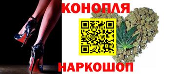 шишки Будённовск